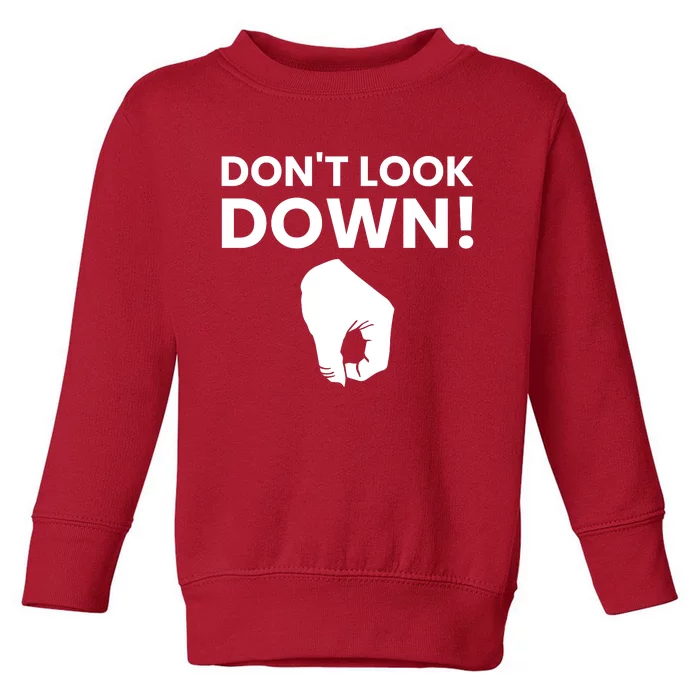 DonT Look Down Humor Graphic Toddler Sweatshirt