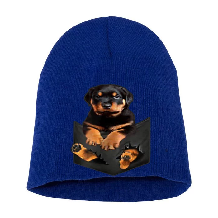 Dog Lovers Funny Gift Rottweiler In Pocket Funny Dog Rottweiler Funny Gift Short Acrylic Beanie