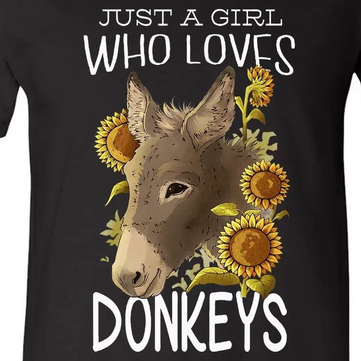 Donkey Lovers Girl Women Just A Girl Who Loves Donkeys V-Neck T-Shirt