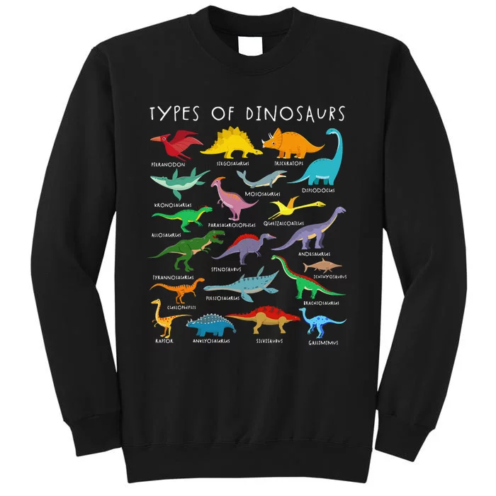 Dinosaur Lover Types Of Dinosaurs Different Dinosaurs Tall Sweatshirt