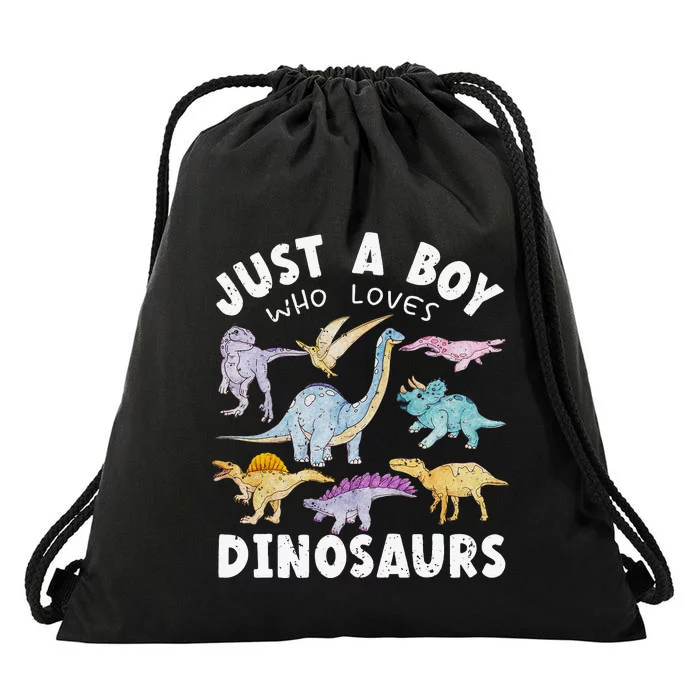 Dinosaur Lover Tee Dinosaur Tee Dino Drawstring Bag