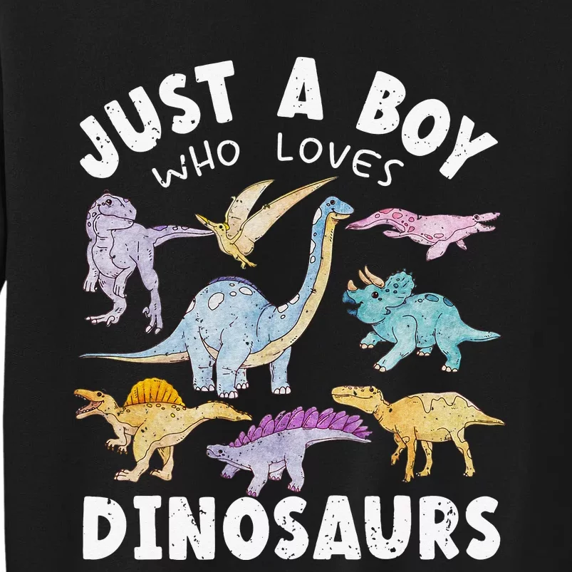 Dinosaur Lover Tee Dinosaur Tee Dino Tall Sweatshirt