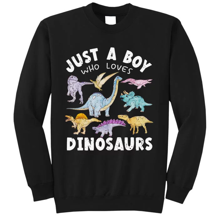 Dinosaur Lover Tee Dinosaur Tee Dino Tall Sweatshirt