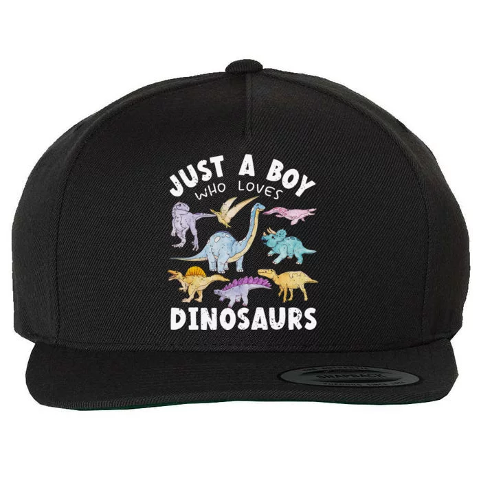 Dinosaur Lover Tee Dinosaur Tee Dino Wool Snapback Cap