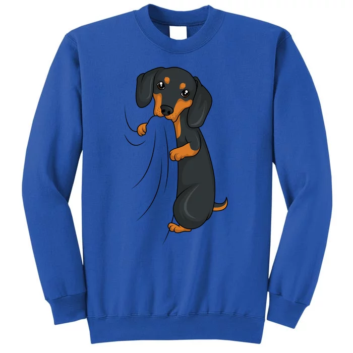 Dachshund Lover Weiner Dog Gift Tall Sweatshirt