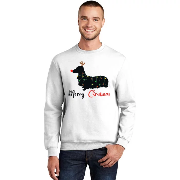 Dachshund Merry Christmas Winter Dogs Christmas Sweatshirt