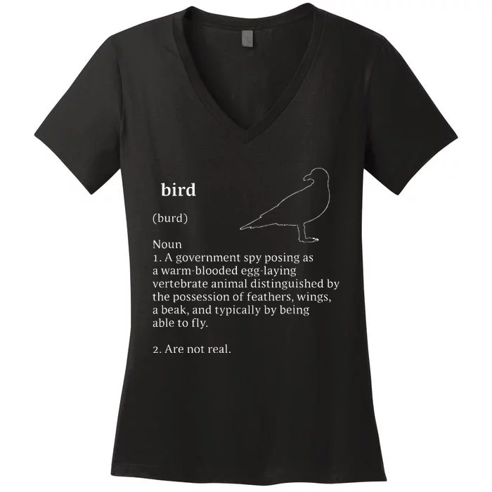 Dictionary Minimalist Women's V-Neck T-Shirt