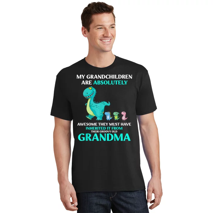 Dragon My Grandchildren Are Absolutely Awesome They Must T-Shirt