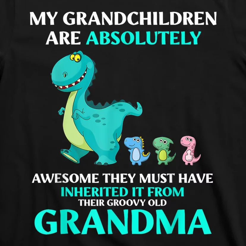 Dragon My Grandchildren Are Absolutely Awesome They Must T-Shirt