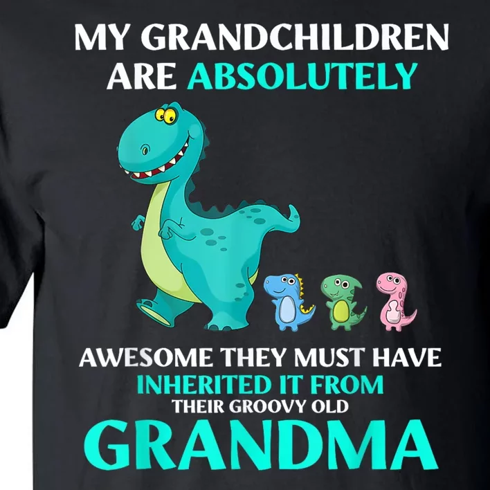 Dragon My Grandchildren Are Absolutely Awesome They Must Tall T-Shirt