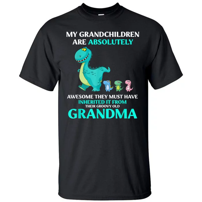 Dragon My Grandchildren Are Absolutely Awesome They Must Tall T-Shirt