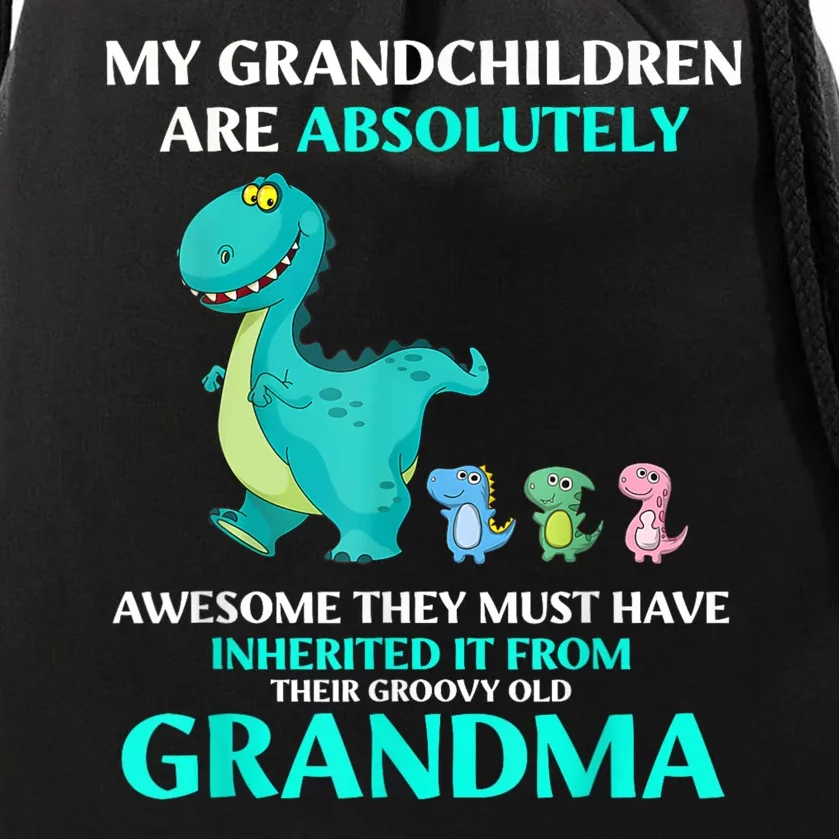 Dragon My Grandchildren Are Absolutely Awesome They Must Drawstring Bag