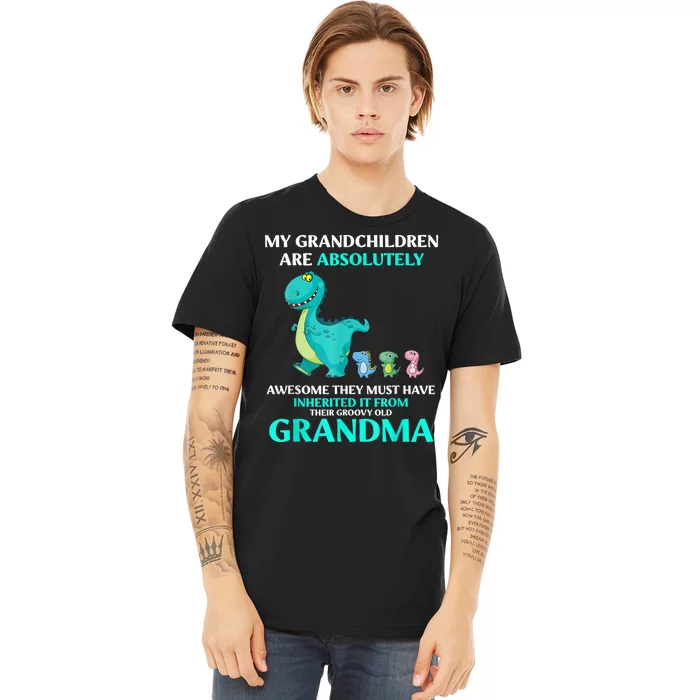 Dragon My Grandchildren Are Absolutely Awesome They Must Premium T-Shirt