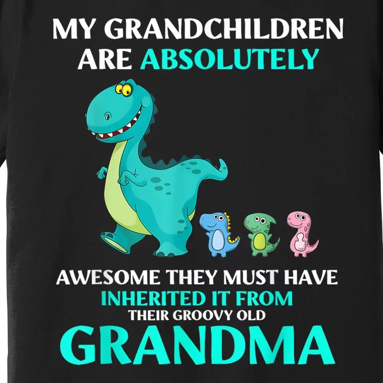 Dragon My Grandchildren Are Absolutely Awesome They Must Premium T-Shirt