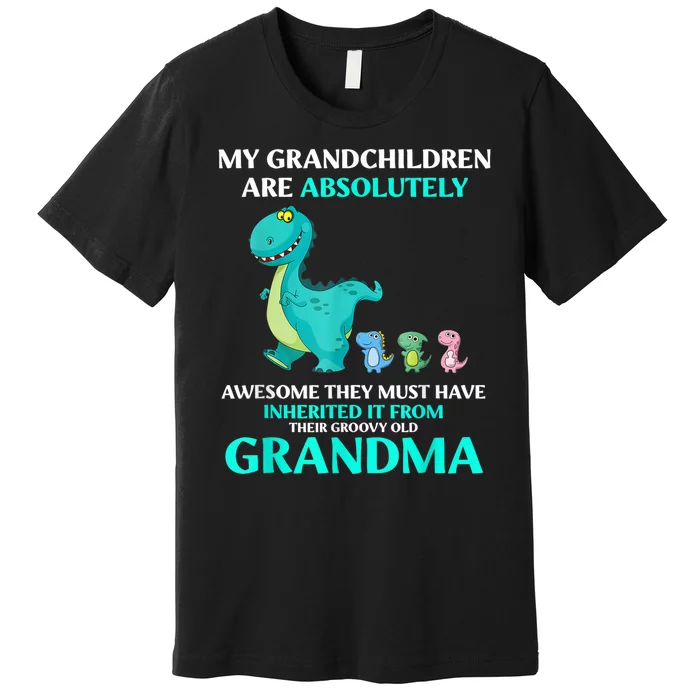 Dragon My Grandchildren Are Absolutely Awesome They Must Premium T-Shirt