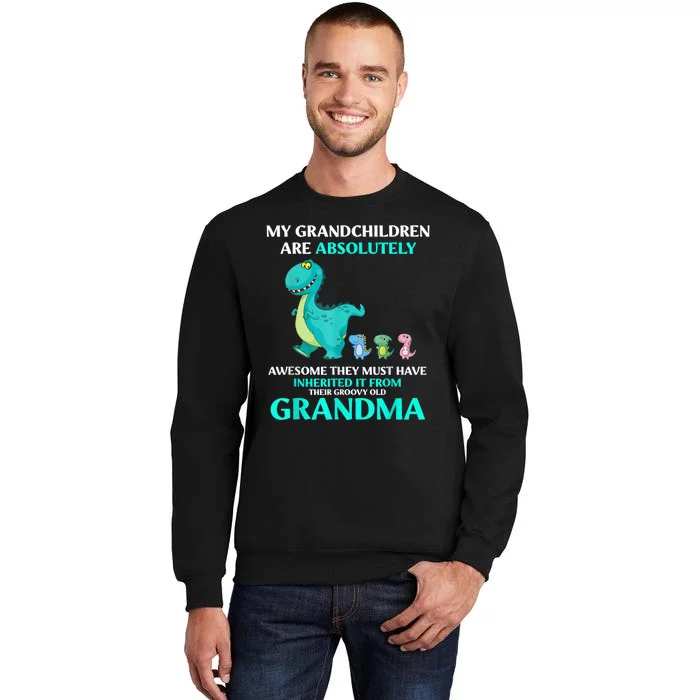 Dragon My Grandchildren Are Absolutely Awesome They Must Tall Sweatshirt