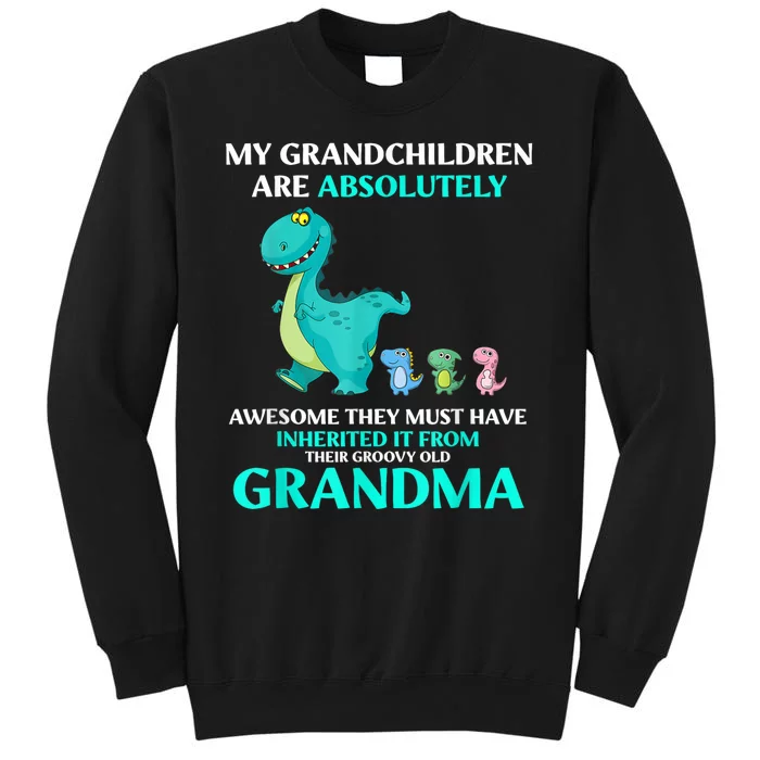 Dragon My Grandchildren Are Absolutely Awesome They Must Tall Sweatshirt