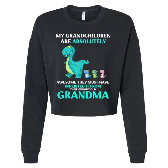 Dragon My Grandchildren Are Absolutely Awesome They Must Cropped Pullover Crew