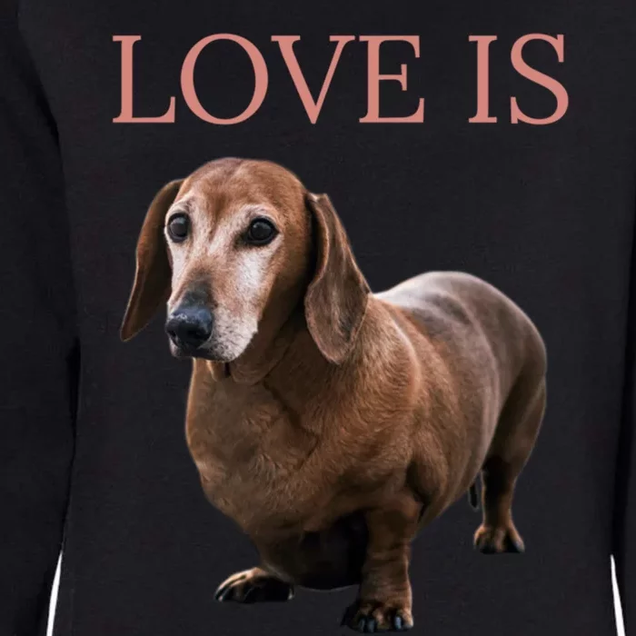 Dachshund Meaningful Gift Dog Mom Dad Gift Doxie Funny Gift Great Gift Womens California Wash Sweatshirt