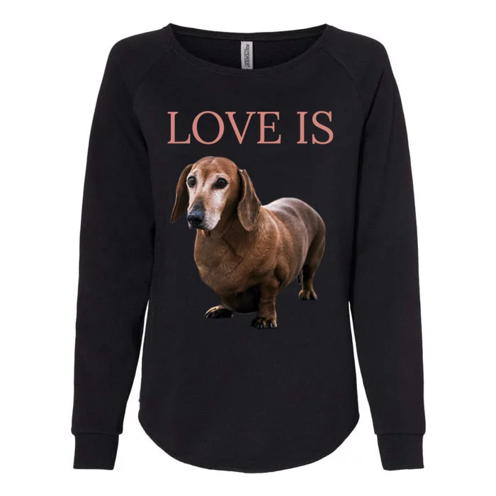 Dachshund Meaningful Gift Dog Mom Dad Gift Doxie Funny Gift Great Gift Womens California Wash Sweatshirt