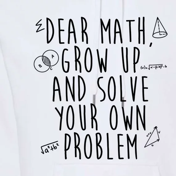 Dear Math Grow Up And Solve Your Own Problem Funny Premium Hoodie