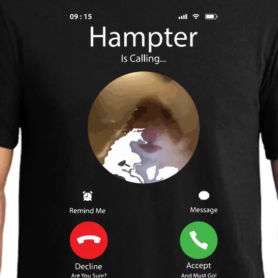 Dank Meme Hamster Staring Front Camera Hampter Calling Pajama Set