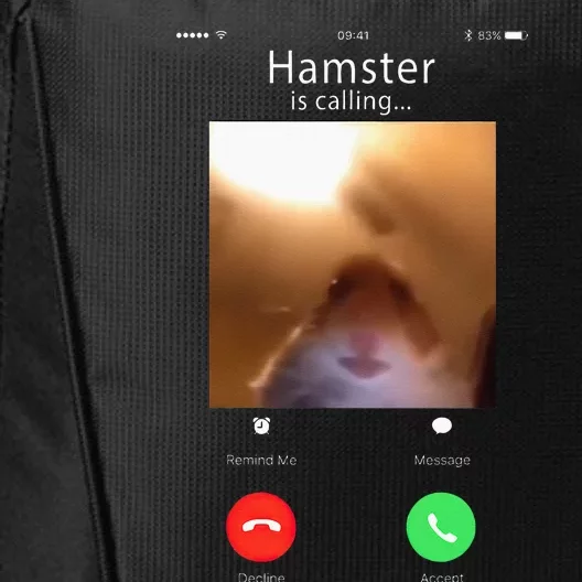 Dank Meme Hamster Staring Front Camera Hamster Calling Gift City Backpack