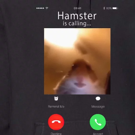 Dank Meme Hamster Staring Front Camera Hamster Calling Gift Premium Hoodie