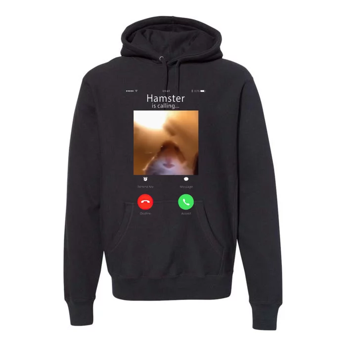 Dank Meme Hamster Staring Front Camera Hamster Calling Gift Premium Hoodie