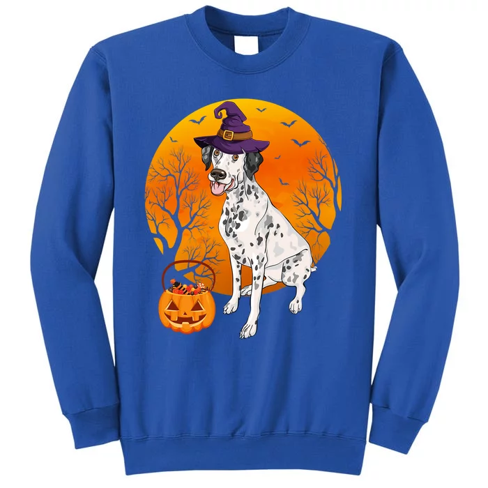 Dalmatian Moon Halloween Witch Hat Dalmatian Dog Owner Lover Great Gift Tall Sweatshirt