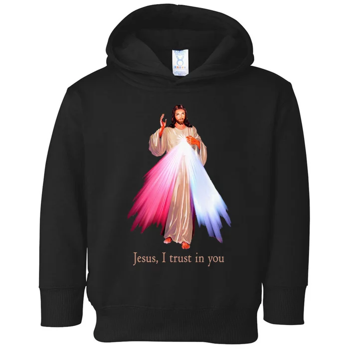 Divine Mercy Jesus I Trust In You Toddler Hoodie