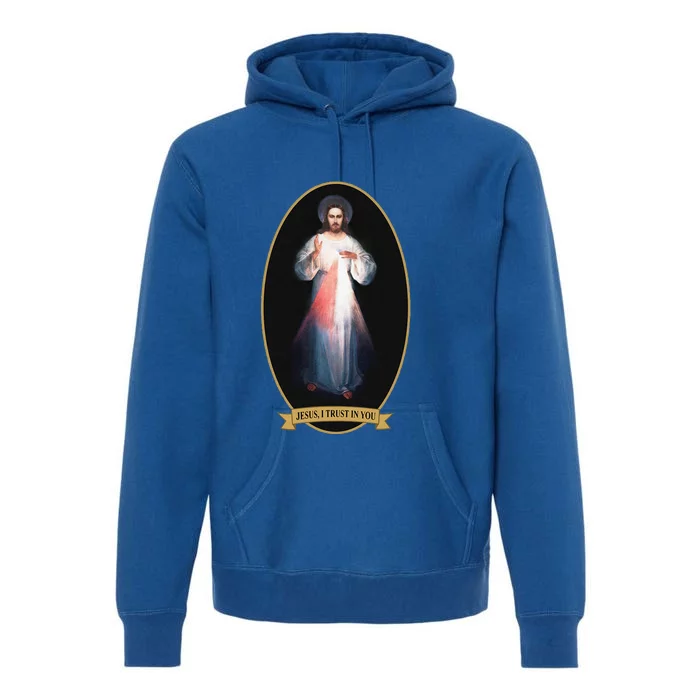 Divine Mercy Jesus I Trust In You Premium Hoodie