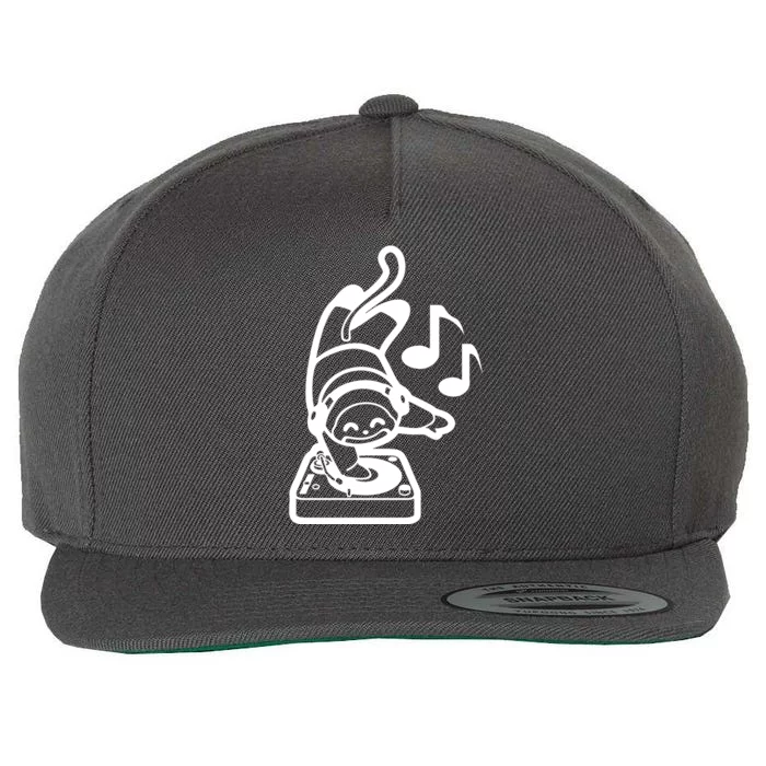 Dj Monkey Turntable Cartoon Wool Snapback Cap