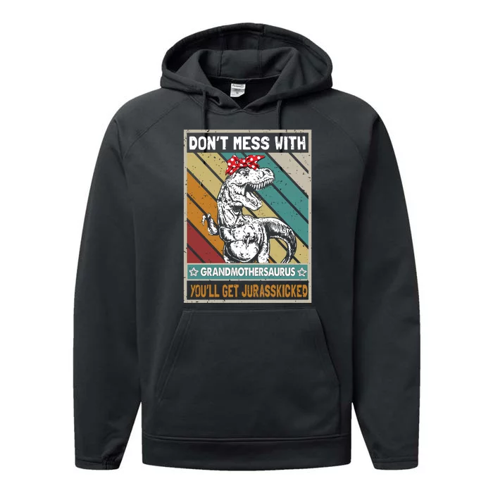 Dont Mess With Grandmothersaurus Performance Fleece Hoodie