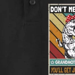 Dont Mess With Grandmothersaurus Dry Zone Grid Performance Polo