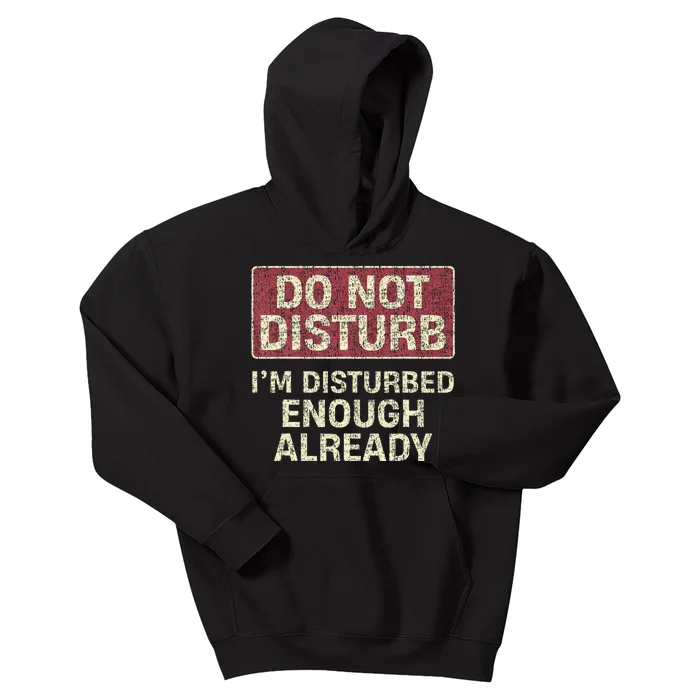 Do Not Disturb IM Disturbed Enough Already Sarcastic Kids Hoodie