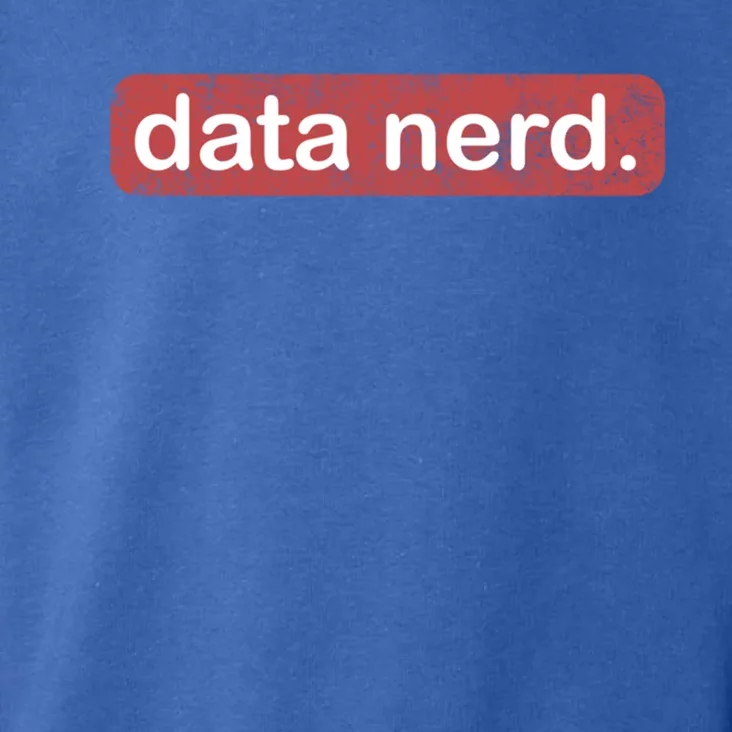 Data Nerd Great Gift Data Lover Great Gift Data Guy Funny Gift Toddler Hoodie