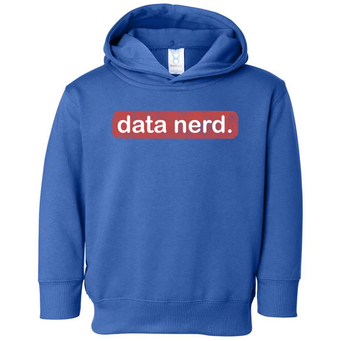 Data Nerd Great Gift Data Lover Great Gift Data Guy Funny Gift Toddler Hoodie