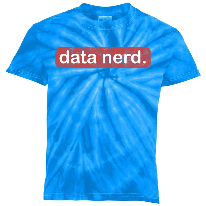 Data Nerd Great Gift Data Lover Great Gift Data Guy Funny Gift Kids Tie-Dye T-Shirt