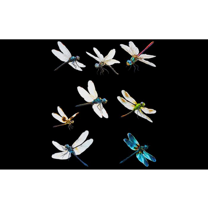 Dragonfly Natural Mosquito Repellent Bugs Free Bumper Sticker