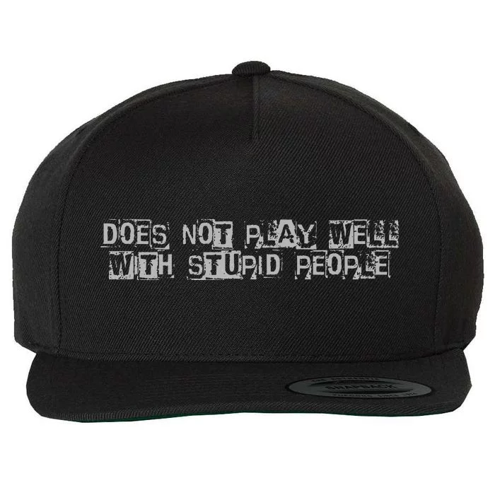 Does Not Play Well With Stupid People Wool Snapback Cap