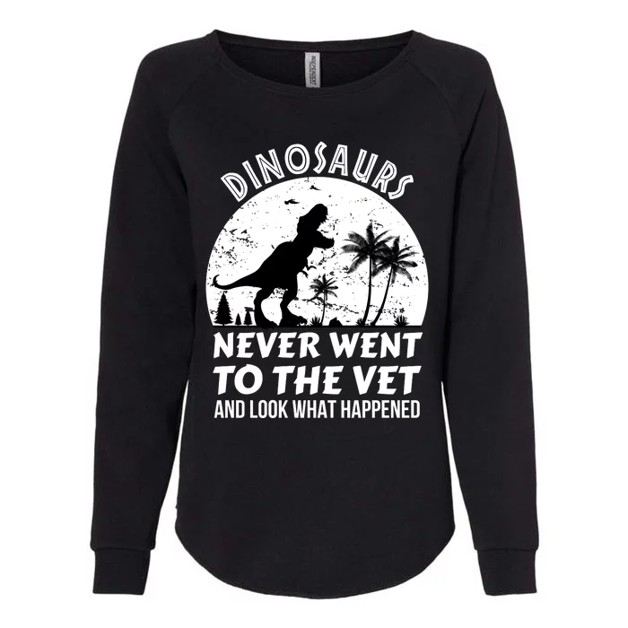 DINOSAURS NEVER WENT TO THE VET Womens California Wash Sweatshirt