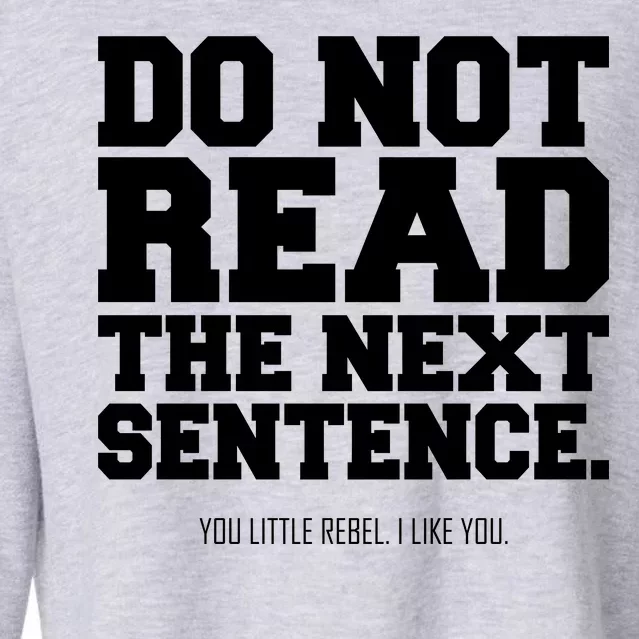 Do Not Read The Next Sentence. You Little Rebel. I Like You. Cropped Pullover Crew