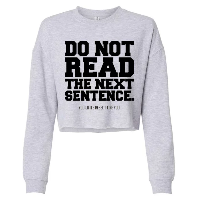 Do Not Read The Next Sentence. You Little Rebel. I Like You. Cropped Pullover Crew