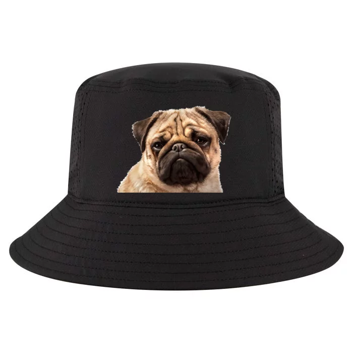 Dog - Close-Up of Pug Face Cool Comfort Performance Bucket Hat