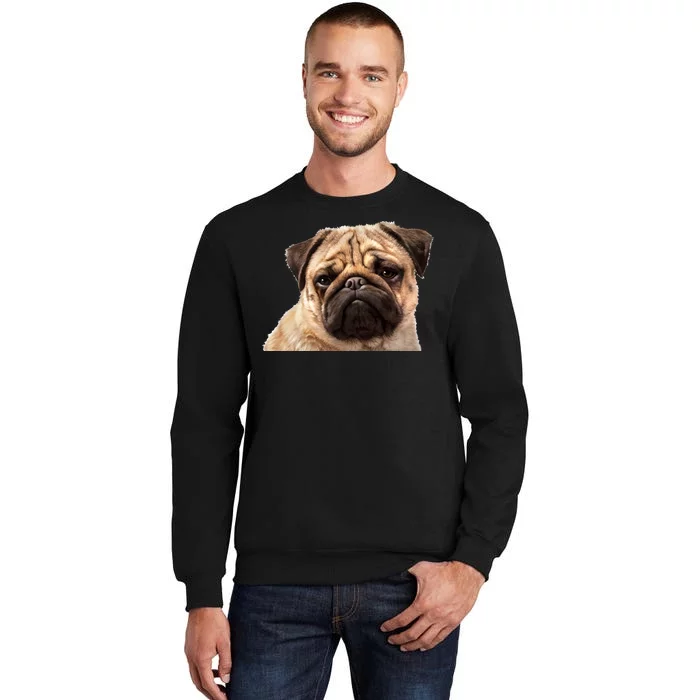 Dog - Close-Up of Pug Face Tall Sweatshirt