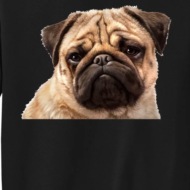 Dog - Close-Up of Pug Face Tall Sweatshirt