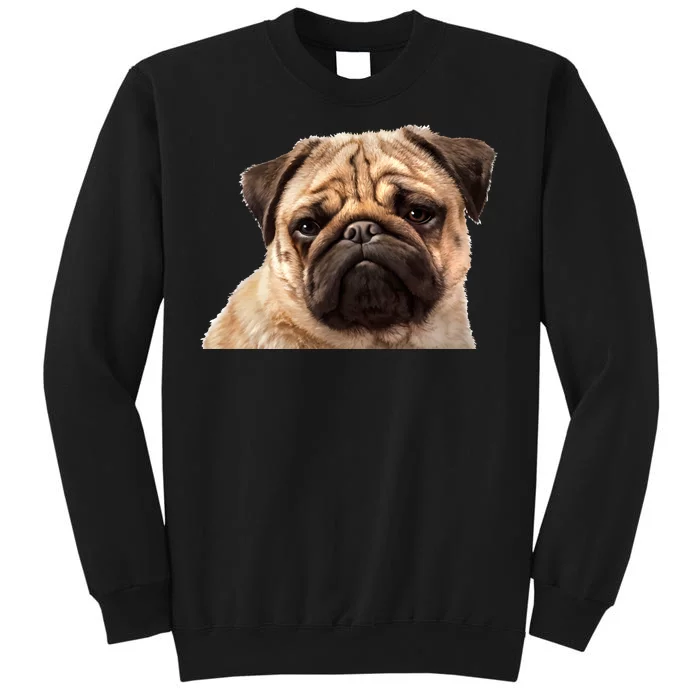 Dog - Close-Up of Pug Face Tall Sweatshirt