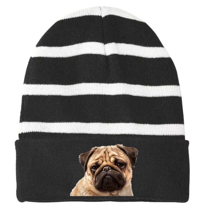 Dog - Close-Up of Pug Face Striped Beanie with Solid Band