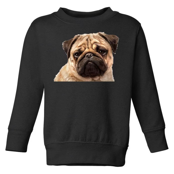 Dog - Close-Up of Pug Face Toddler Sweatshirt